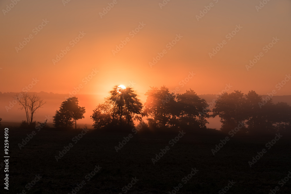 Sonnenaufgang mit Bäumen im Nebel