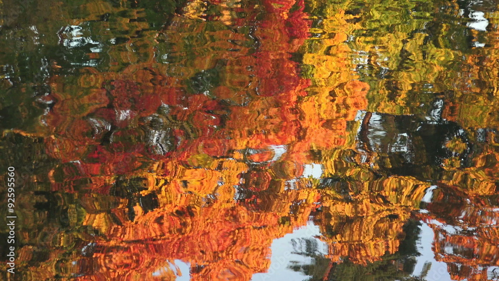 Reflection of autumn trees in the water. Autumn Landscape. 4K. Stock ...