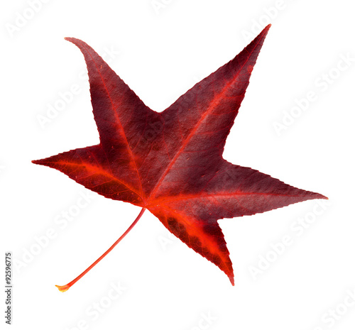 Buntes Herbstlaub