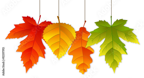 Herbstblaetter haengen