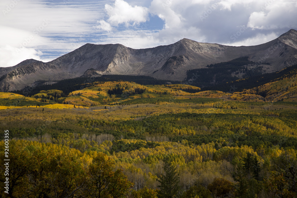Autumn foilage near Crested Butte Colorado on Kebler Pass Rd.