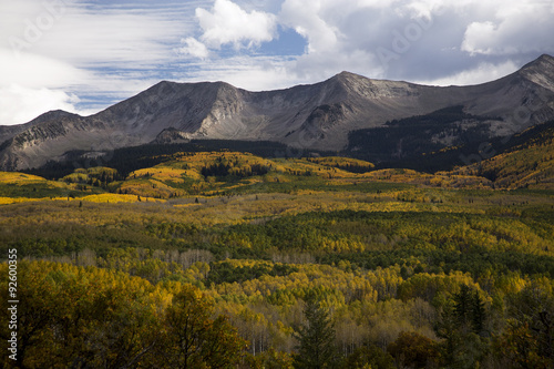 Autumn foilage near Crested Butte Colorado on Kebler Pass Rd.
