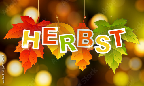 Herbst Hintergrund photo