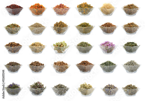 medicinal herbs photo