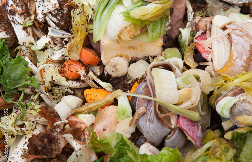 Organic waste in trash can photo