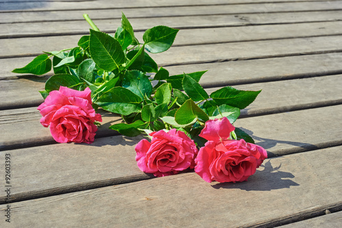 Fototapeta Naklejka Na Ścianę i Meble -  Pink roses flowers