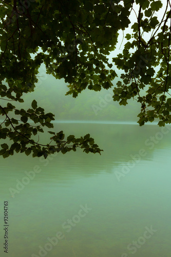 Beautiful Lake Detail © Lizard