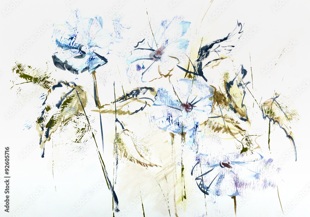 Fototapeta Stylizowane ręcznie rysowane akwarela Cichorium kwiaty w impresjach