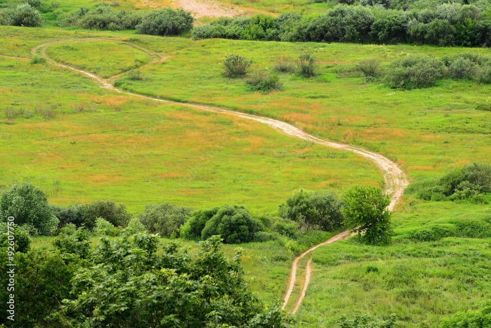 View to the meadow path from Raudone old red bricks castle tower
