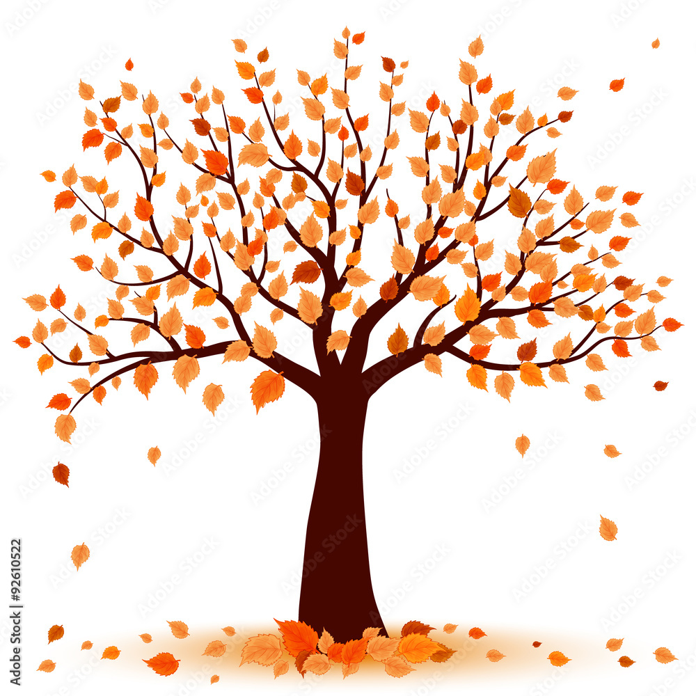 Fototapeta premium autumn tree