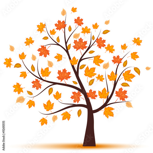 autumn tree