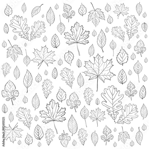 leaves silhouettes vector