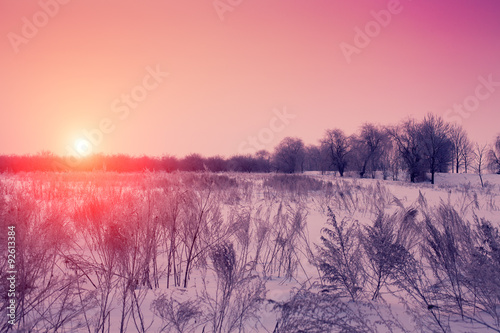 Beautiful winter pink sunset over snowy field © vvvita