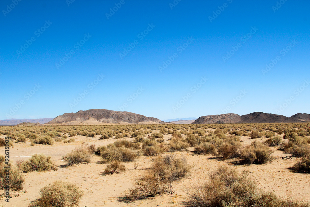 Mohave-Wüste