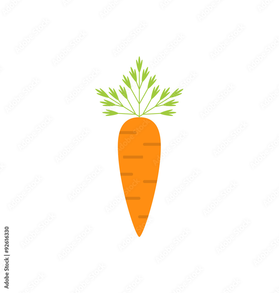 Ripe Carrot Isolated
