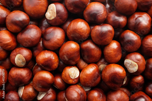 Obraz na płótnie Fall conkers background