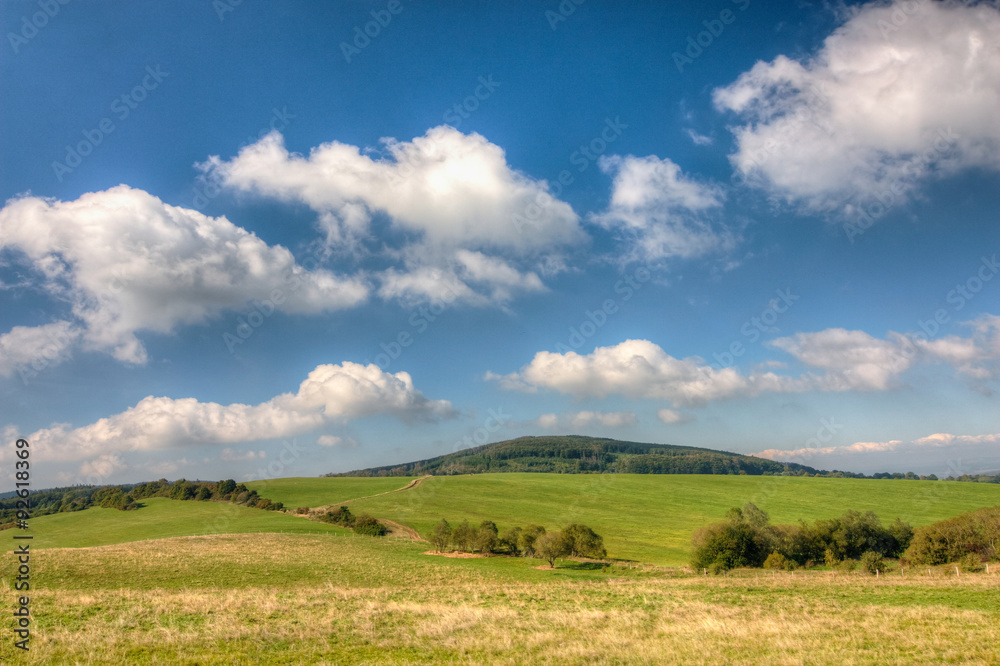 Grassfield and blue sky with clouds
