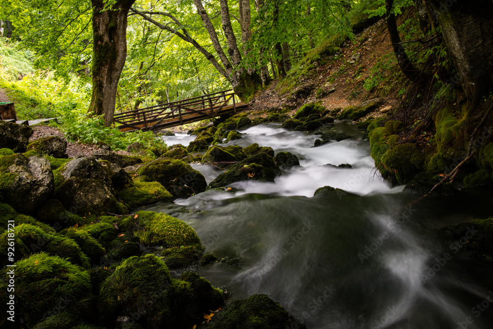 Obraz premium stream in the forest