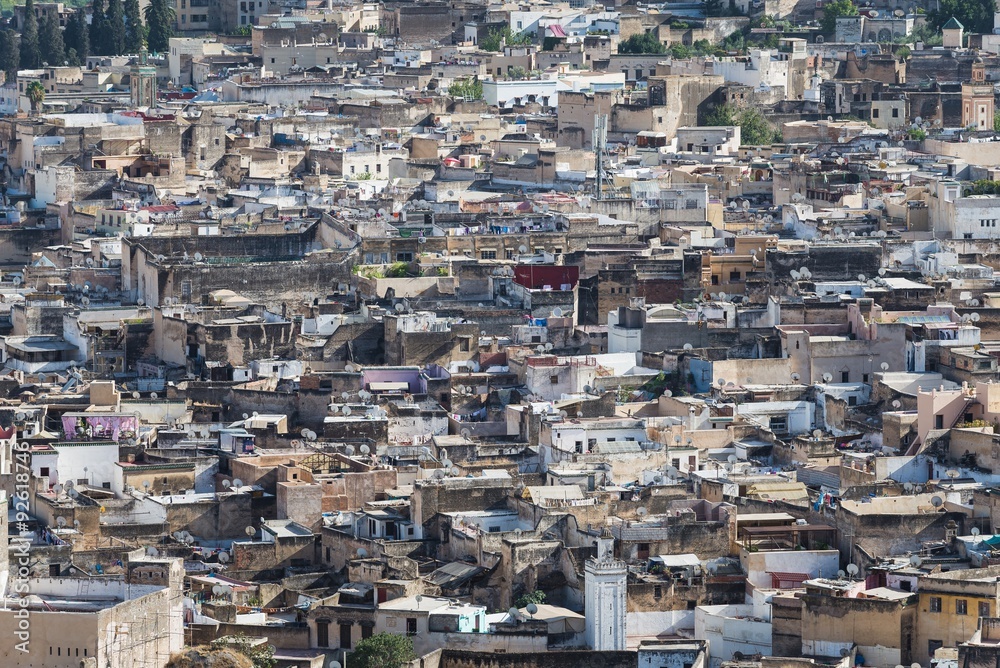 view over the medina of fes