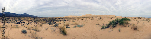 Footprints in the Mojave Desert Sands