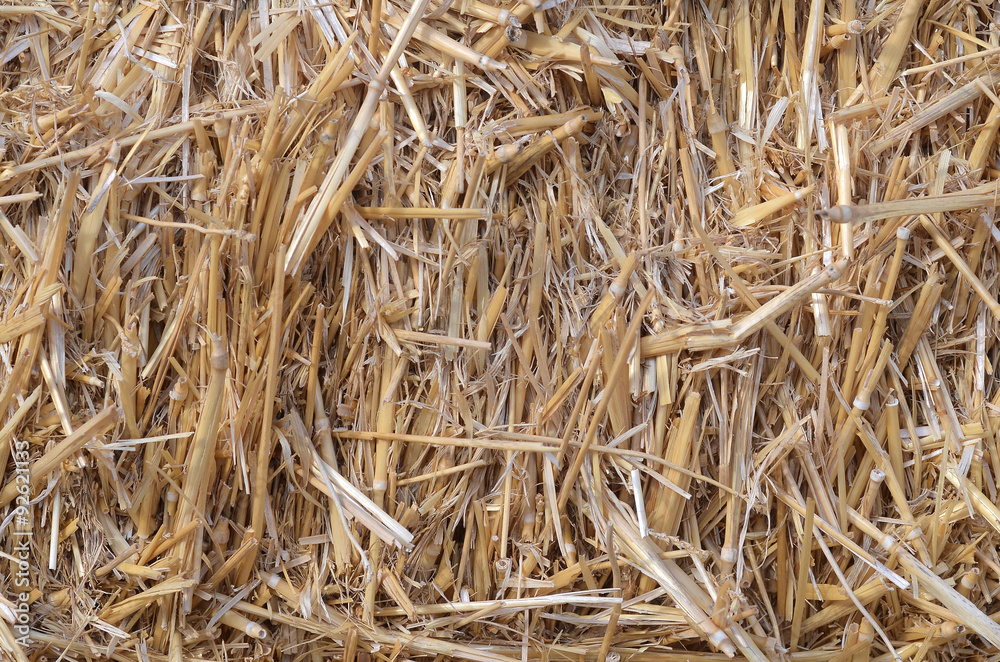 hay texture