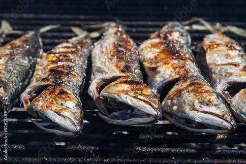 Mackerel grilled