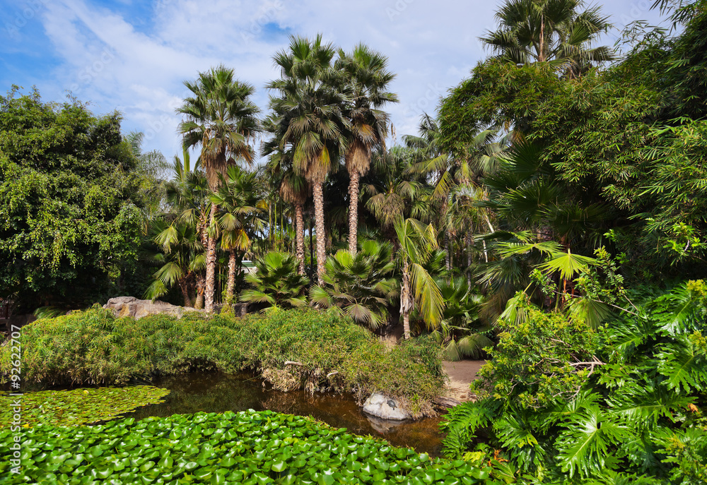 Pond in park at Tenerife - Canary Spain