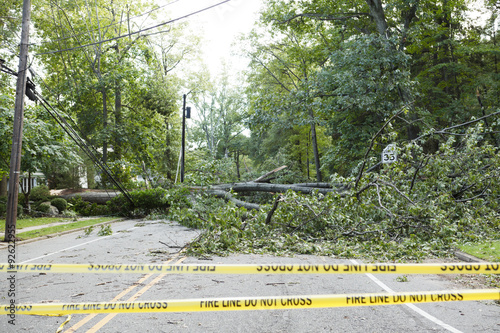 Hurricane Irene Fallen Tree Blocks Road photo