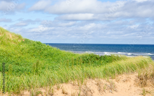 Blue sky and grass and beach 