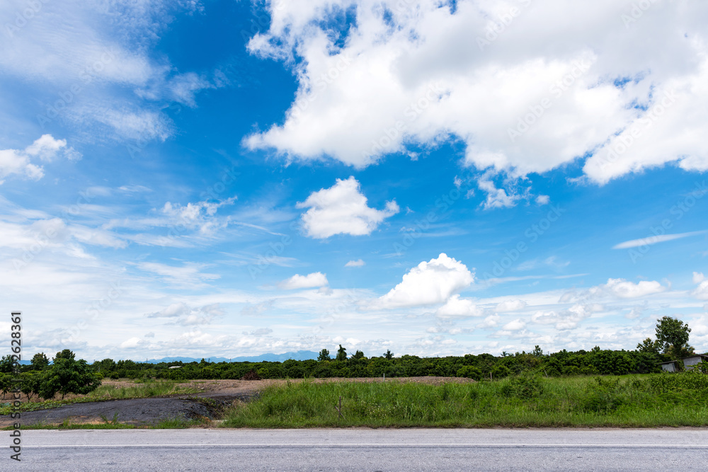 Fruit trees on the background of blue sky Fruit trees on the background of blue sky