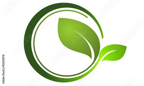 Your Company