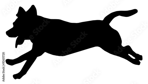 犬