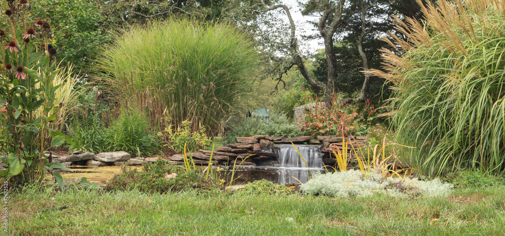 Obraz premium Plant life and a waterfall in a pond in New England on Cape Cod in summer. 