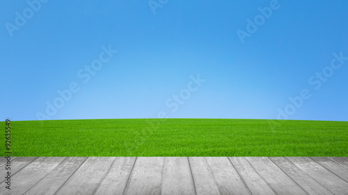 Nature Background