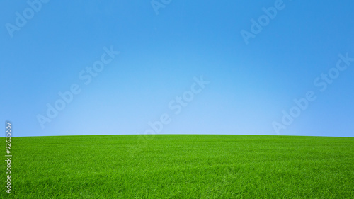 Nature Background