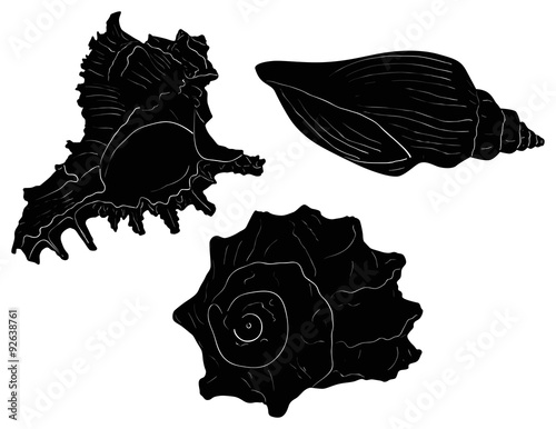 three black shellfishes sketches isolated on white