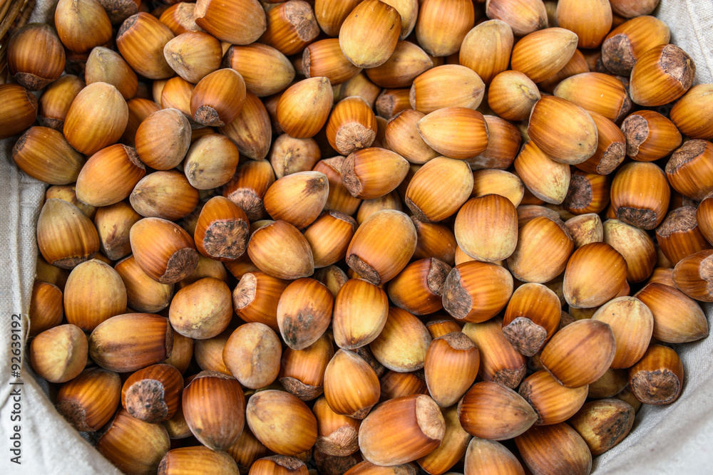 Many hazel nuts in basket