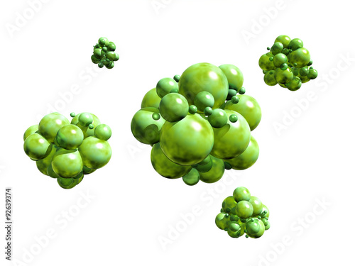 Bacteria