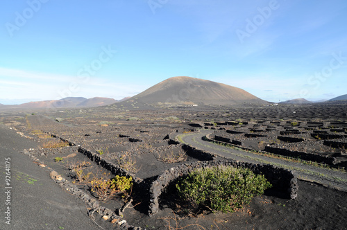 Le vignoble de La Geria à Lanzarote photo