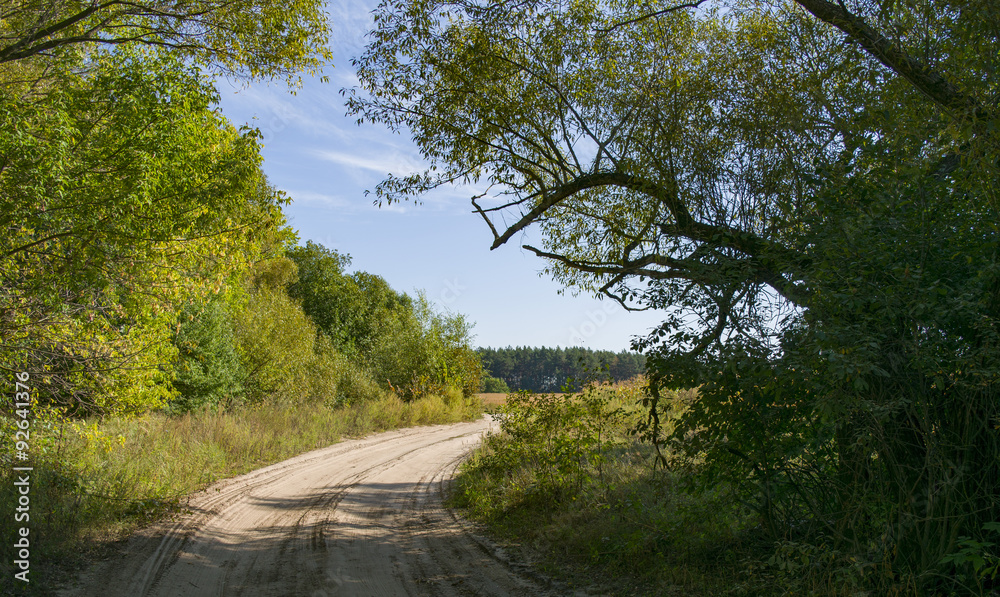 Obraz premium Полевая дорога