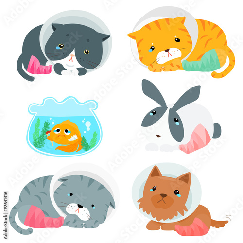 variety animal splinting pack vector illustration