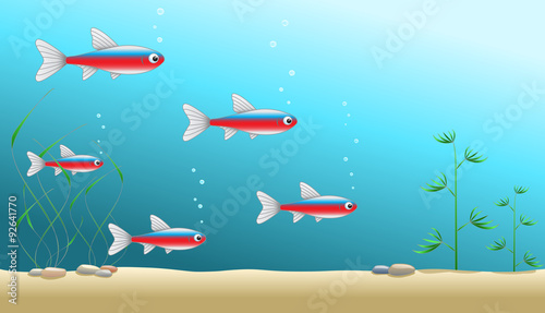 A shoal of cardinal tetras in an aquarium or in ocean or sea, vector illustration