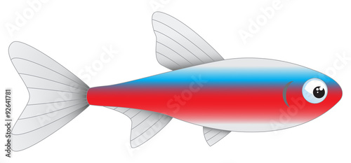 Cardinal tetra aquarium fish isolated on white background, vector illustration