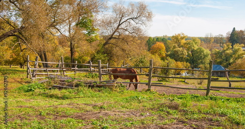 Autumn rural landscape with a horse in a pasture