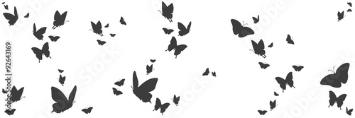 Silhouetten von Schmetterlingen #92643169