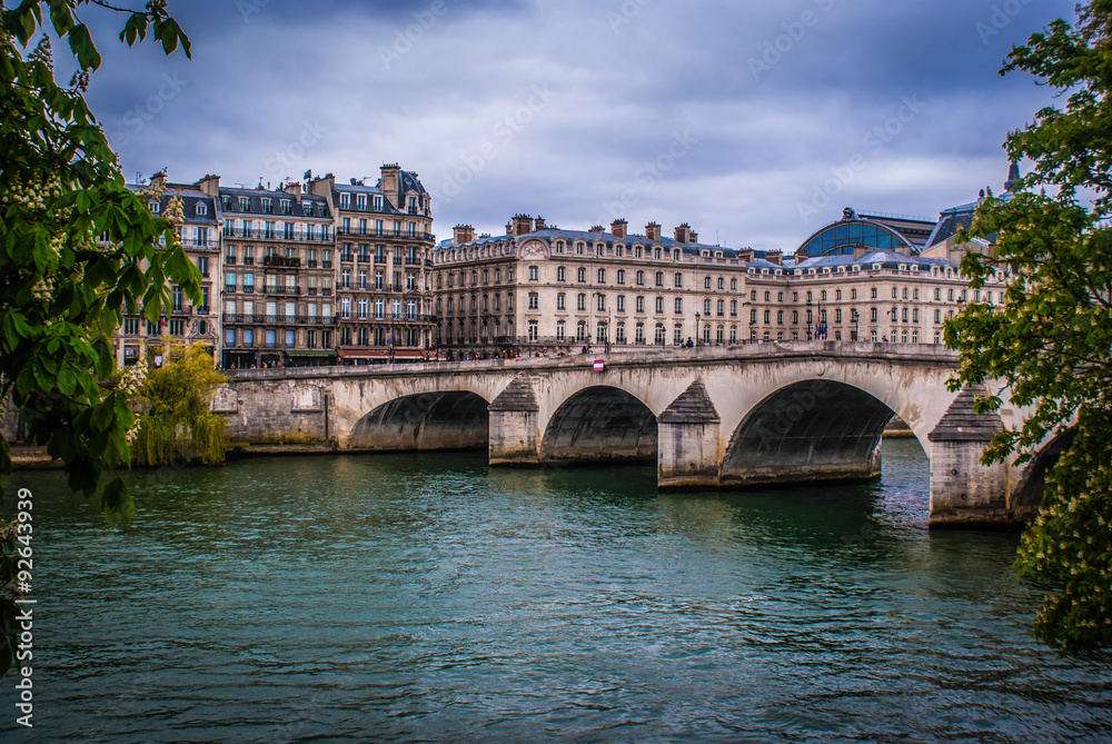 Fototapeta premium Bridge in Paris