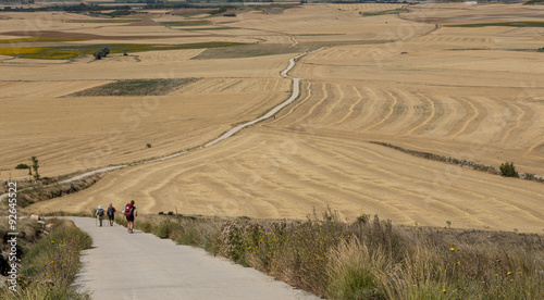 Endless road near Castrojeriz on the Camino de Santiago photo