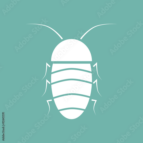 Cockroach icon