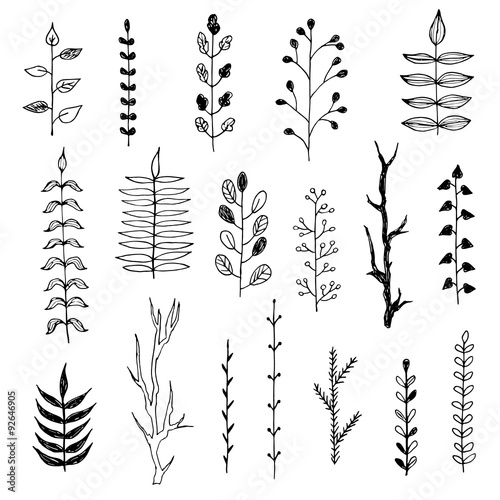 Hand drawn branches collection. Set of simple doodle branches isolated on white background. Vintage inc branches. Floral decorative elements for postcard and invitation design.