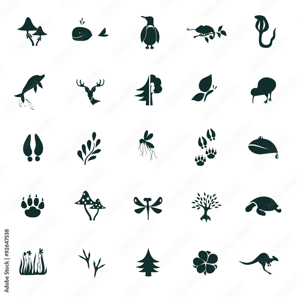 Obraz premium Set of twenty five nature icons